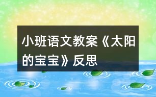 小班語(yǔ)文教案《太陽(yáng)的寶寶》反思