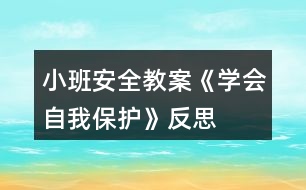 小班安全教案《學會自我保護》反思