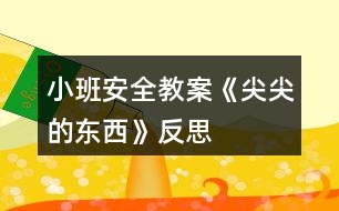 小班安全教案《尖尖的東西》反思