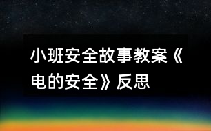 小班安全故事教案《電的安全》反思