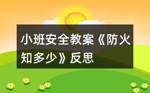 小班安全教案《防火知多少》反思