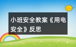 小班安全教案《用電安全》反思