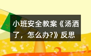 小班安全教案《湯灑了，怎么辦?》反思