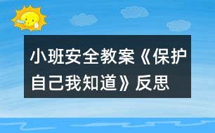 小班安全教案《保護(hù)自己我知道》反思