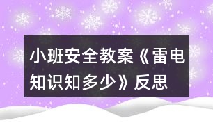 小班安全教案《雷電知識(shí)知多少》反思