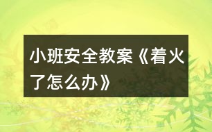 小班安全教案《著火了怎么辦》