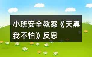 小班安全教案《天黑我不怕》反思