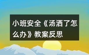 小班安全《湯灑了怎么辦》教案反思