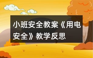 小班安全教案《用電安全》教學反思