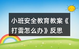 小班安全教育教案《打雷怎么辦》反思