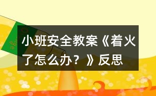 小班安全教案《著火了怎么辦？》反思