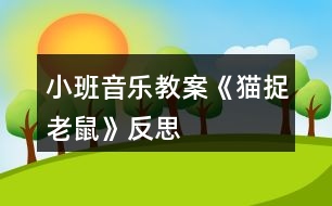 小班音樂(lè)教案《貓捉老鼠》反思