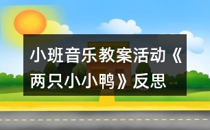 小班音樂(lè)教案活動(dòng)《兩只小小鴨》反思