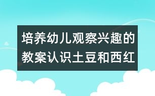 培養(yǎng)幼兒觀察興趣的教案：認(rèn)識(shí)土豆和西紅柿