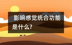  影響感覺統(tǒng)合功能是什么?