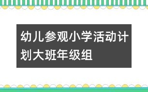 幼兒參觀小學(xué)活動(dòng)計(jì)劃——大班年級(jí)組