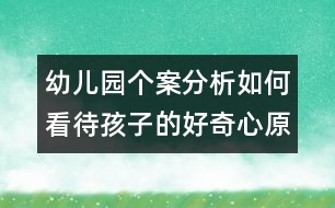 幼兒園個(gè)案分析：如何看待孩子的好奇心（原創(chuàng)）