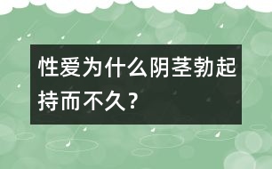 性愛：為什么陰莖勃起持而不久？