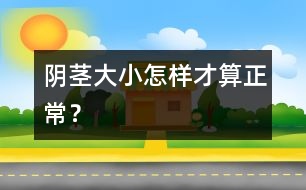 陰莖大小怎樣才算正常？