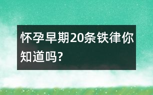 懷孕早期20條“鐵律”你知道嗎?