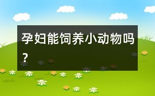 孕婦能飼養(yǎng)小動物嗎？