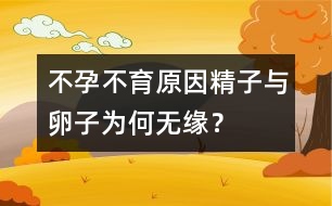 不孕不育原因：精子與卵子為何無緣？