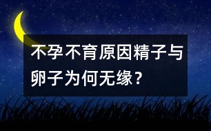 不孕不育原因：精子與卵子為何無緣？