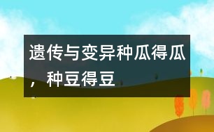 遺傳與變異：種瓜得瓜，種豆得豆