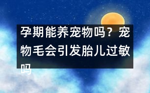 孕期能養(yǎng)寵物嗎？寵物毛會引發(fā)胎兒過敏嗎？