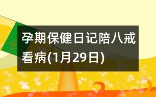 孕期保健日記：陪八戒看病(1月29日)