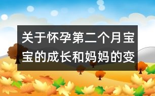 關于懷孕第二個月寶寶的成長和媽媽的變化