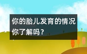 你的胎兒發(fā)育的情況你了解嗎？