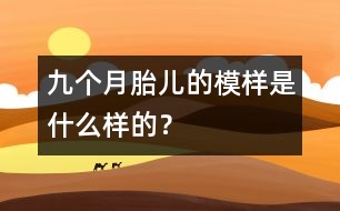 九個(gè)月胎兒的模樣是什么樣的？