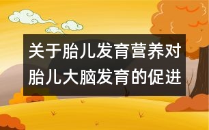 關(guān)于胎兒發(fā)育：營養(yǎng)對胎兒大腦發(fā)育的促進(jìn)