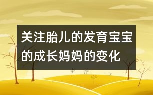 關(guān)注胎兒的發(fā)育：寶寶的成長、媽媽的變化