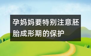 孕媽媽要特別注意胚胎成形期的保護(hù)