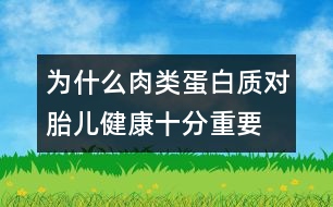 為什么肉類(lèi)蛋白質(zhì)對(duì)胎兒健康十分重要