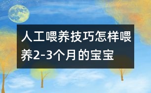 人工喂養(yǎng)技巧：怎樣喂養(yǎng)2-3個(gè)月的寶寶