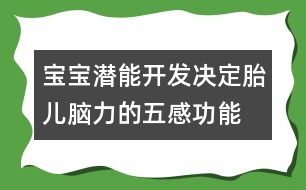 寶寶潛能開發(fā)決定胎兒腦力的五感功能