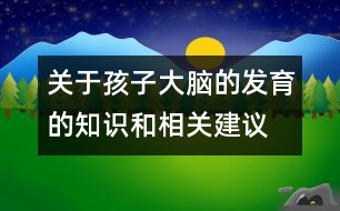 關(guān)于孩子大腦的發(fā)育的知識和相關(guān)建議