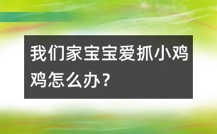 我們家寶寶愛抓小雞雞怎么辦？