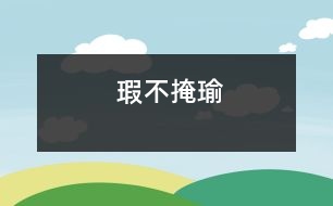 瑕不掩瑜