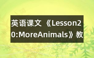 英語課文 《Lesson20:MoreAnimals》教學(xué)設(shè)計(jì)