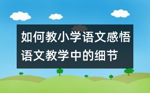 如何教小學(xué)語(yǔ)文：感悟語(yǔ)文教學(xué)中的細(xì)節(jié)