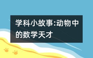 學科小故事:動物中的數(shù)學“天才”