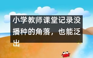 小學教師課堂記錄：沒播種的角落，也能泛出綠意