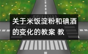 關(guān)于米飯、淀粉和碘酒的變化的教案 教學(xué)設(shè)計(jì)  新教科版六年級(jí)下冊(cè)科學(xué)教案