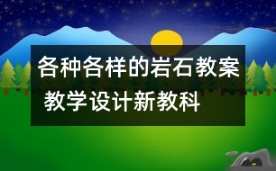 各種各樣的巖石教案 教學(xué)設(shè)計(jì)—新教科版四年級(jí)下冊(cè)科學(xué)教案