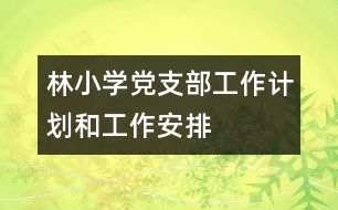 林小學(xué)黨支部工作計劃和工作安排