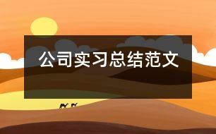 公司實(shí)習(xí)總結(jié)范文